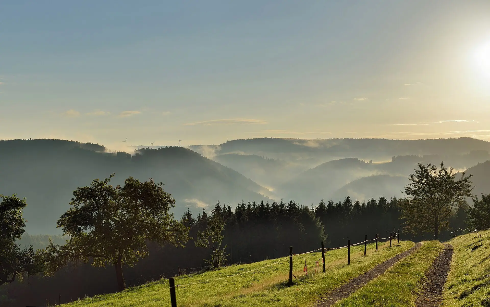 Sonnenaufgang über den nebligen Tälern bei Schonach im Schwarzwald